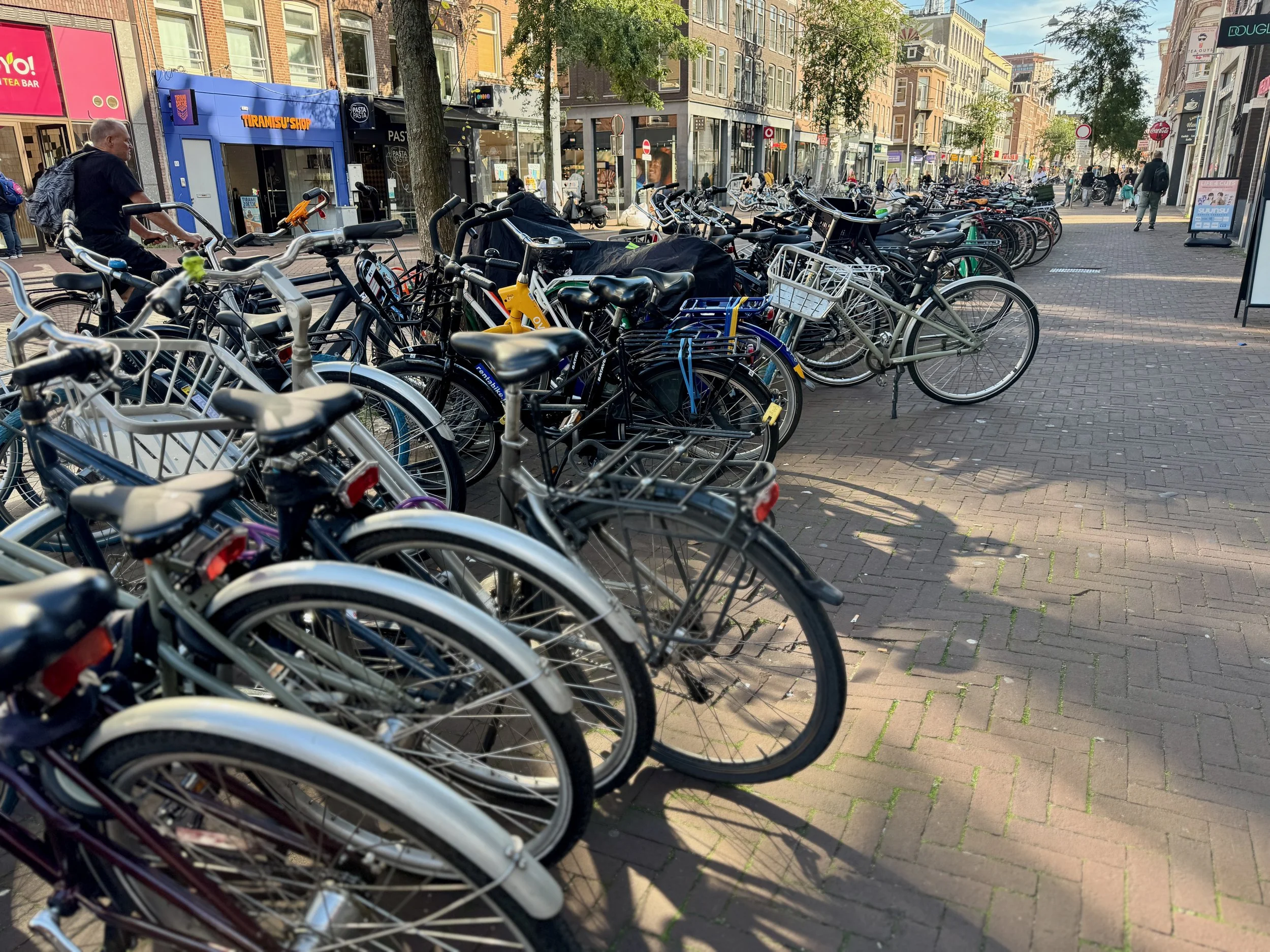 a photograph of a row of bikes in Amsterdam