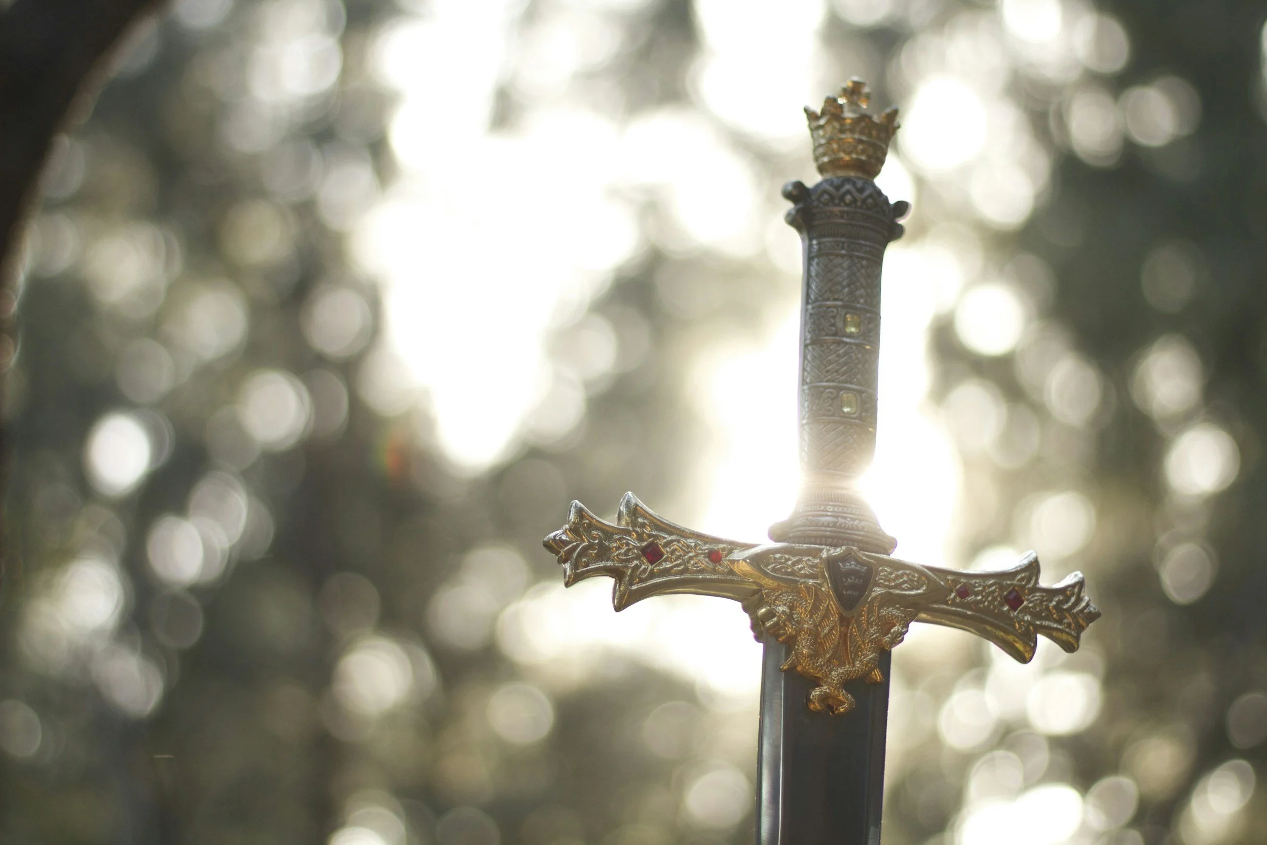 Take Up Your Sword