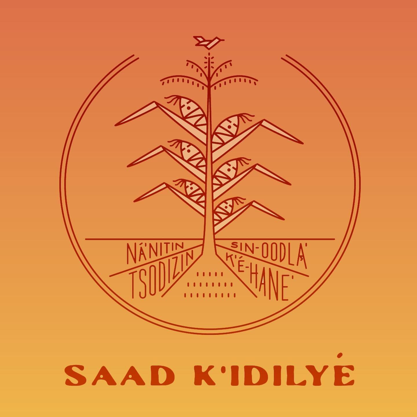 Our client, @saadkidilye has just launched a campaign to raise $6,000 for their Din&eacute; Language Nest in Albuquerque, New Mexico. I&rsquo;m grateful to work with such an important grassroots organization. They are supporting a new generation of F