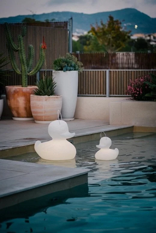 CANARD  2 MODELES .jpeg