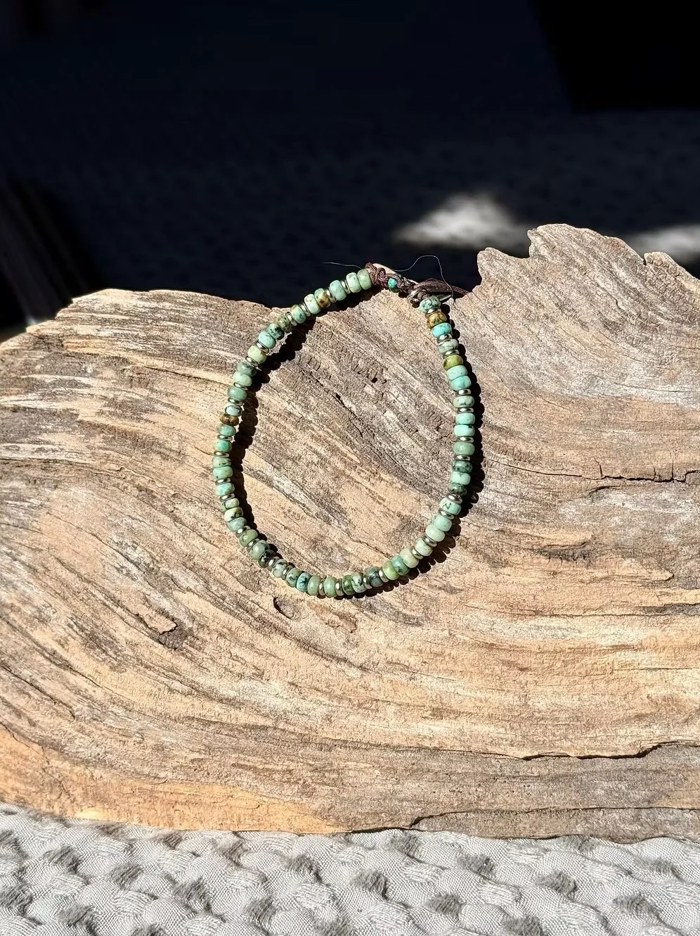 jay turquoise africaine.jpeg