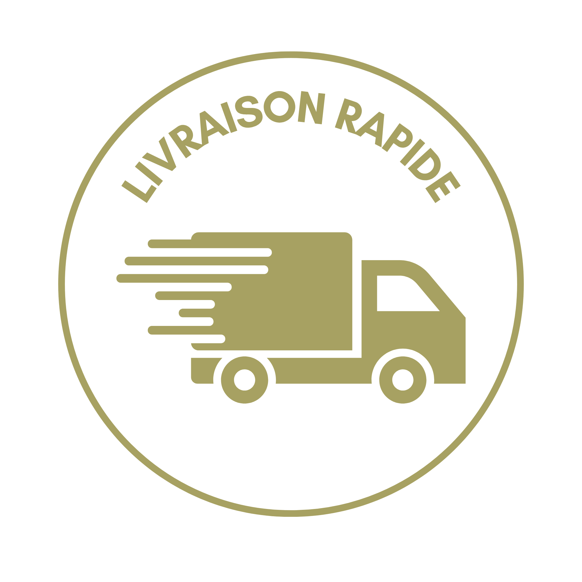 Pictogramme d'un camion de livraison avec un cercle doré et le texte 'LIVRAISON RAPIDE' en haut du cercle.