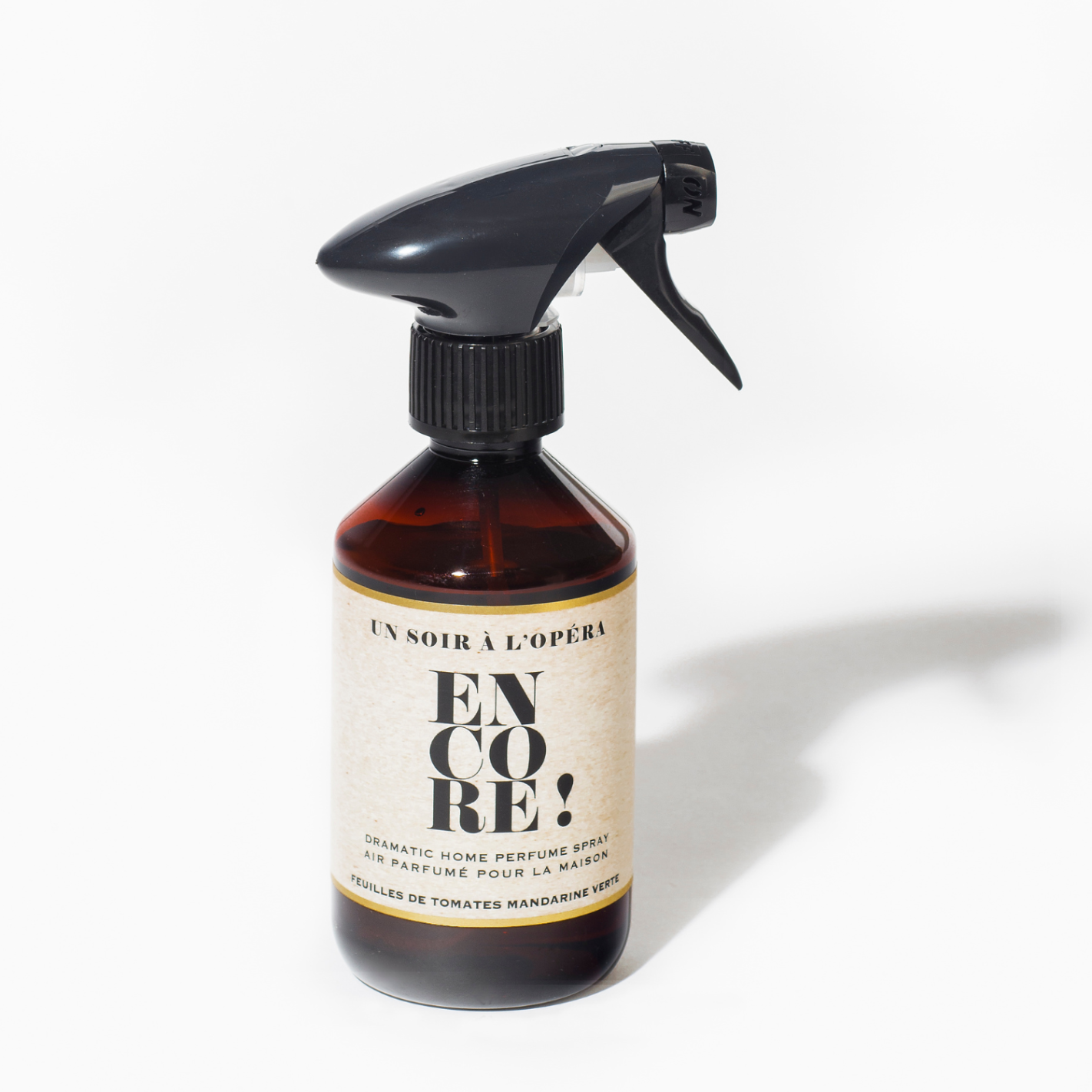 encore-parfum-interieur-300-ml.jpg.png