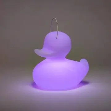 CANARD VIOLET.jpeg