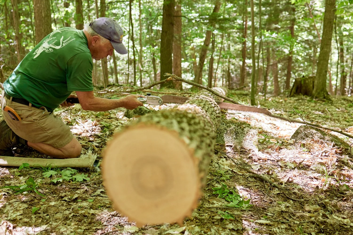 TRAIL WORK 6/10