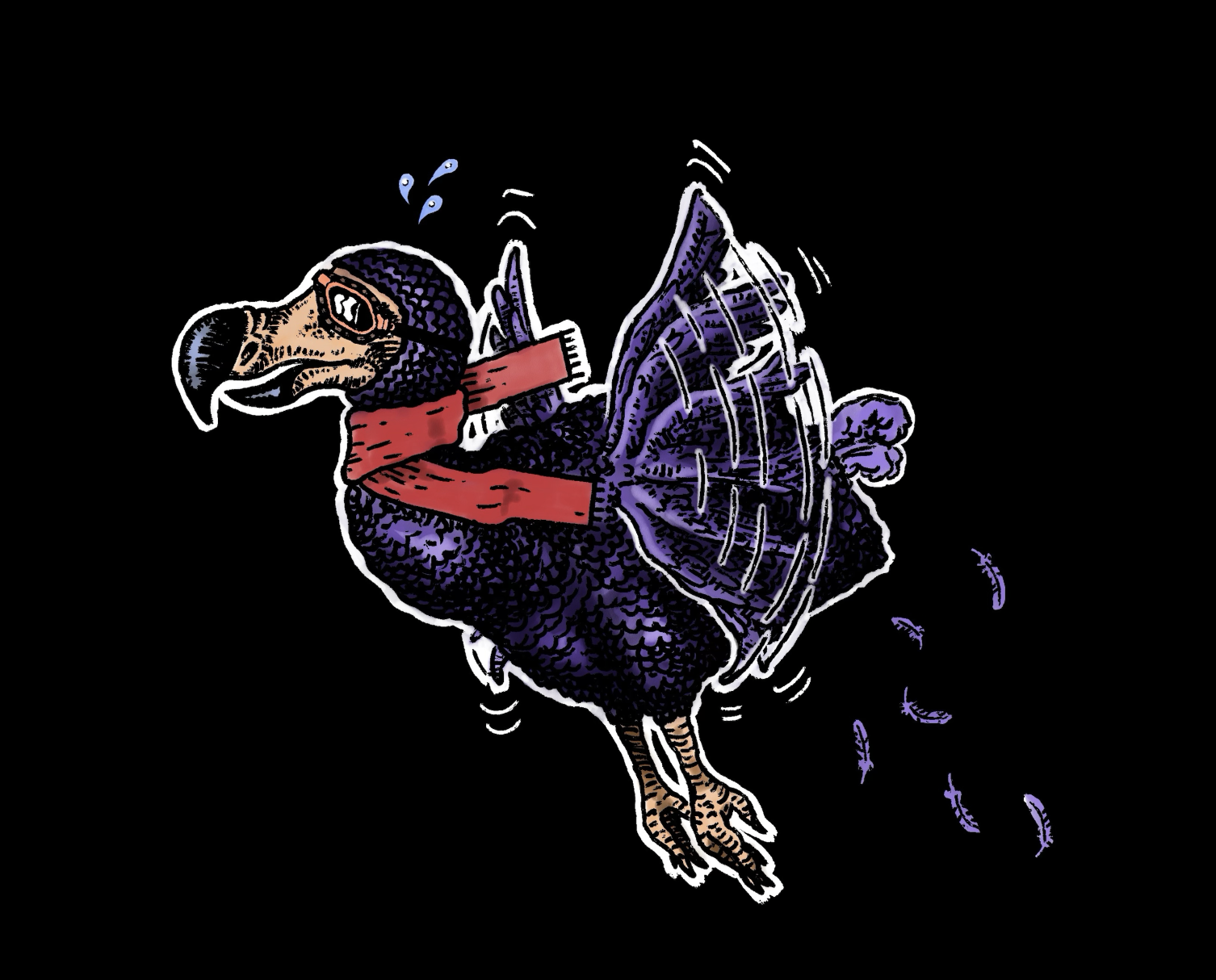 ENID - DODO 0127