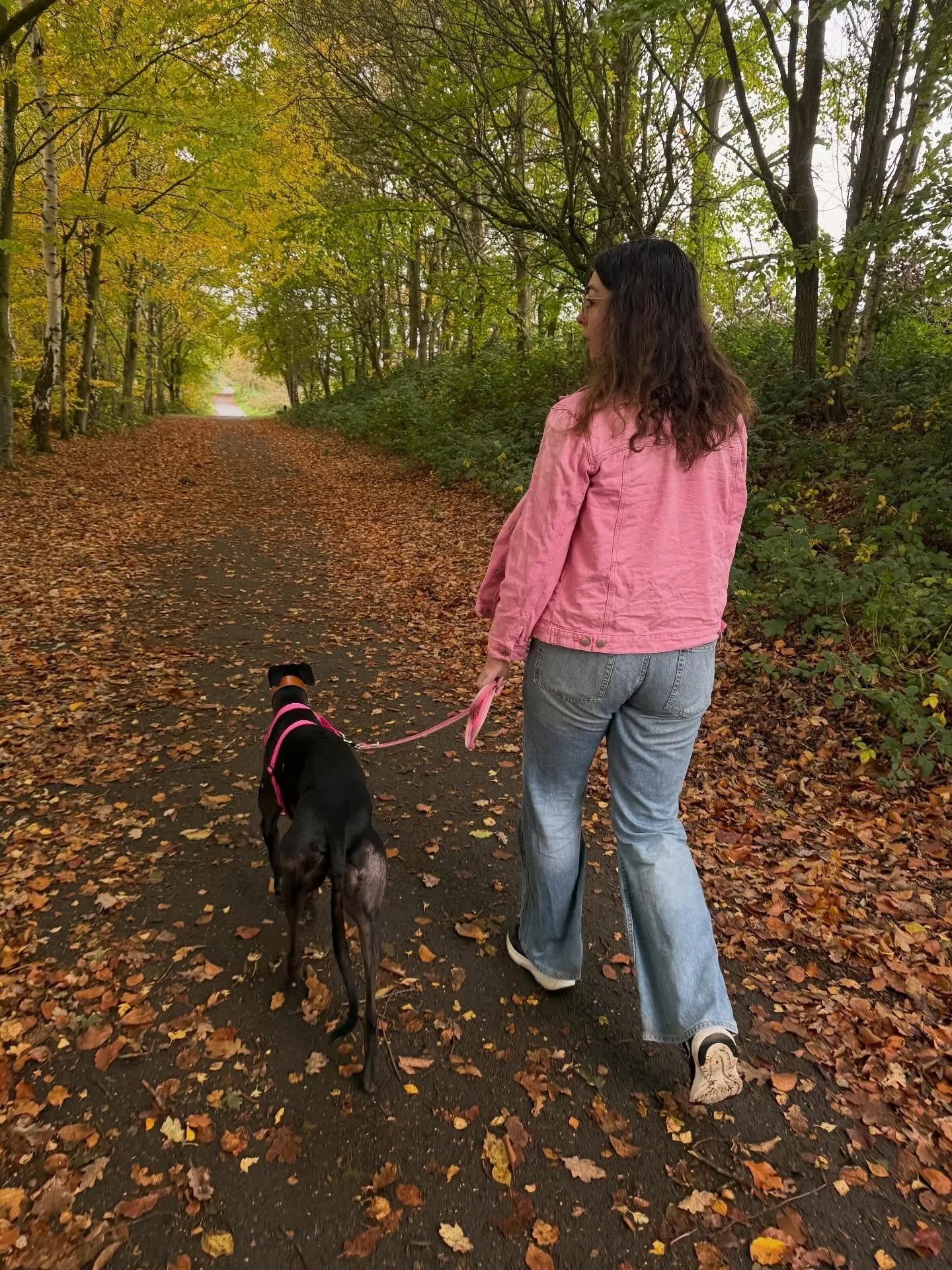 week 43 of 2025 
 
1. Me and Faye 💕
2. 💤💤
3. How does a dog have a double chin 
4. Went to @snarestonepumpkinfarm with Rose and Noah, had the best time 
5. Noah looking for the best pumpkin 🎃 
6. Best part of working outside is all the changes in