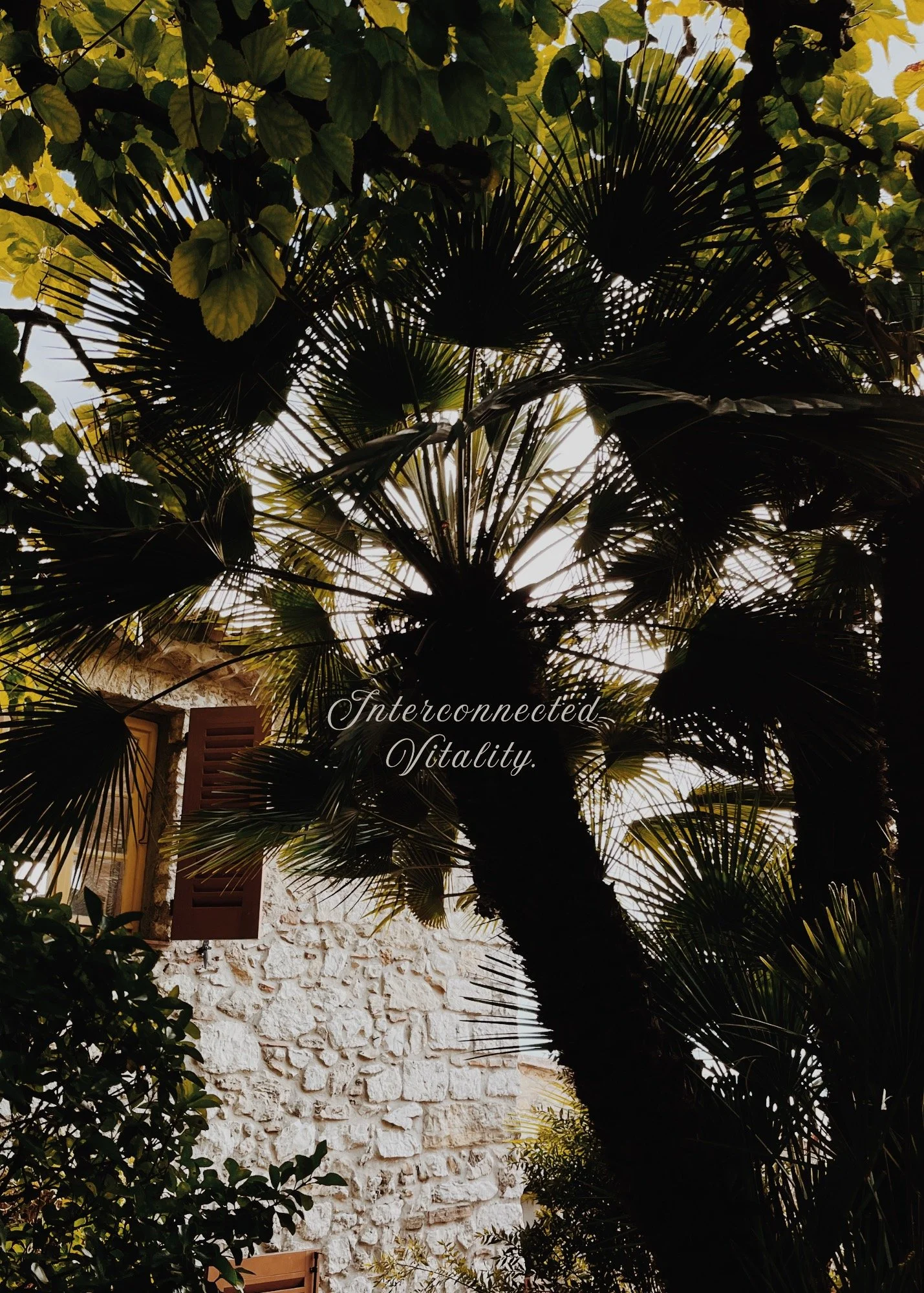 Interconnected Vitality