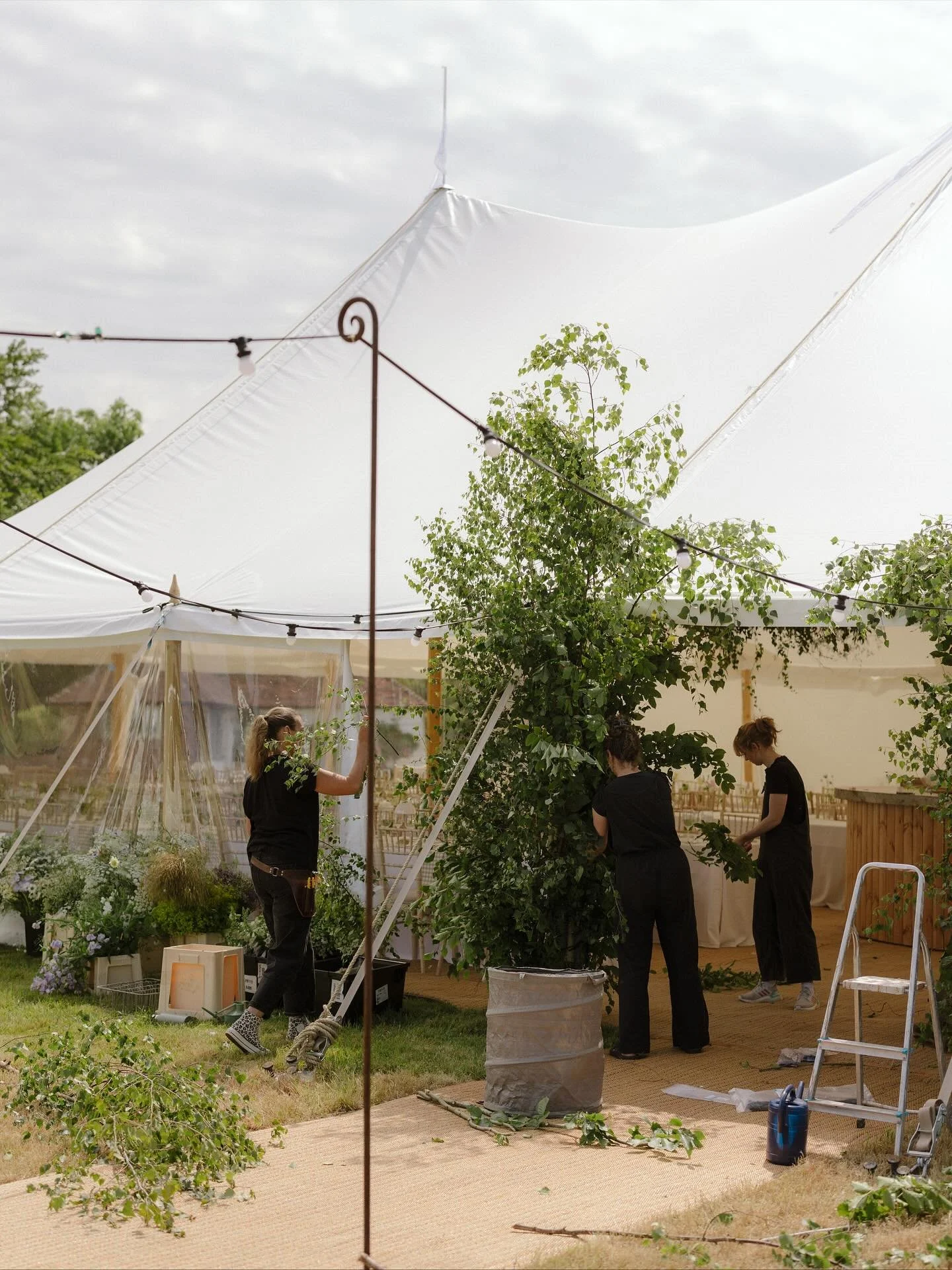 Team MWG created a whole lot of floral magic this season and there&rsquo;s so so much to share of it. Big days, big ladders, very warm marquees, being in the mercy of the weather, flexing expertise and artistry, often dehydrated and malnourished, all