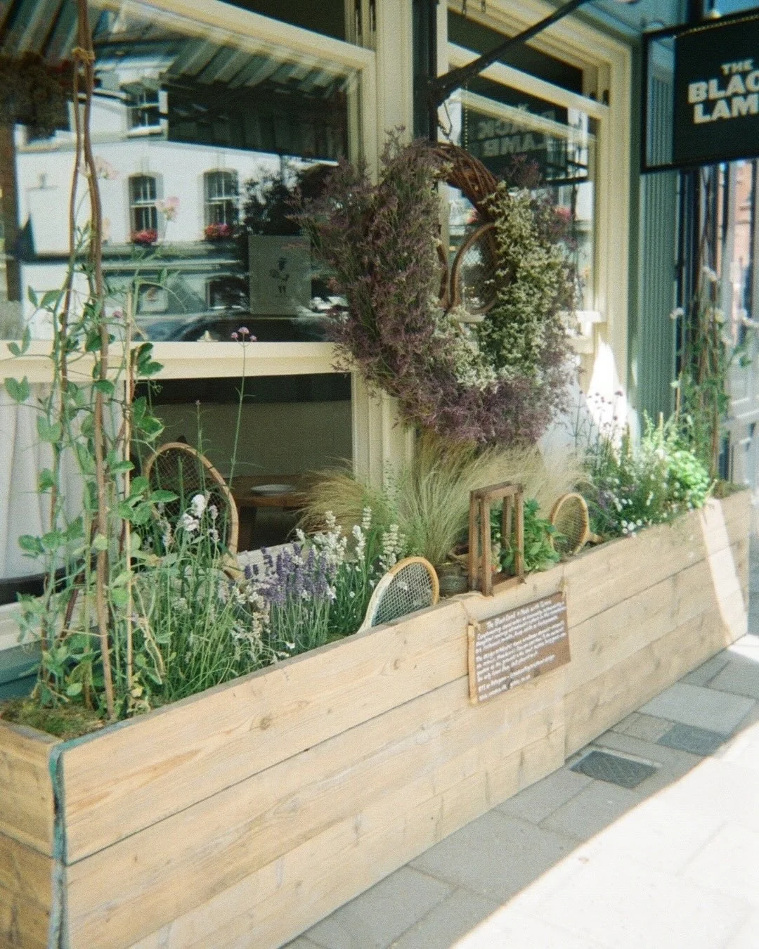 For wimbledon, on film 🌿 recently developed and reminded of this planting installation created back in June for @theblacklamb_resto
⠀⠀⠀⠀⠀⠀⠀⠀⠀
With a concept all about celebrating seasonality, sustainability and thoughtful sourcing, created with all 