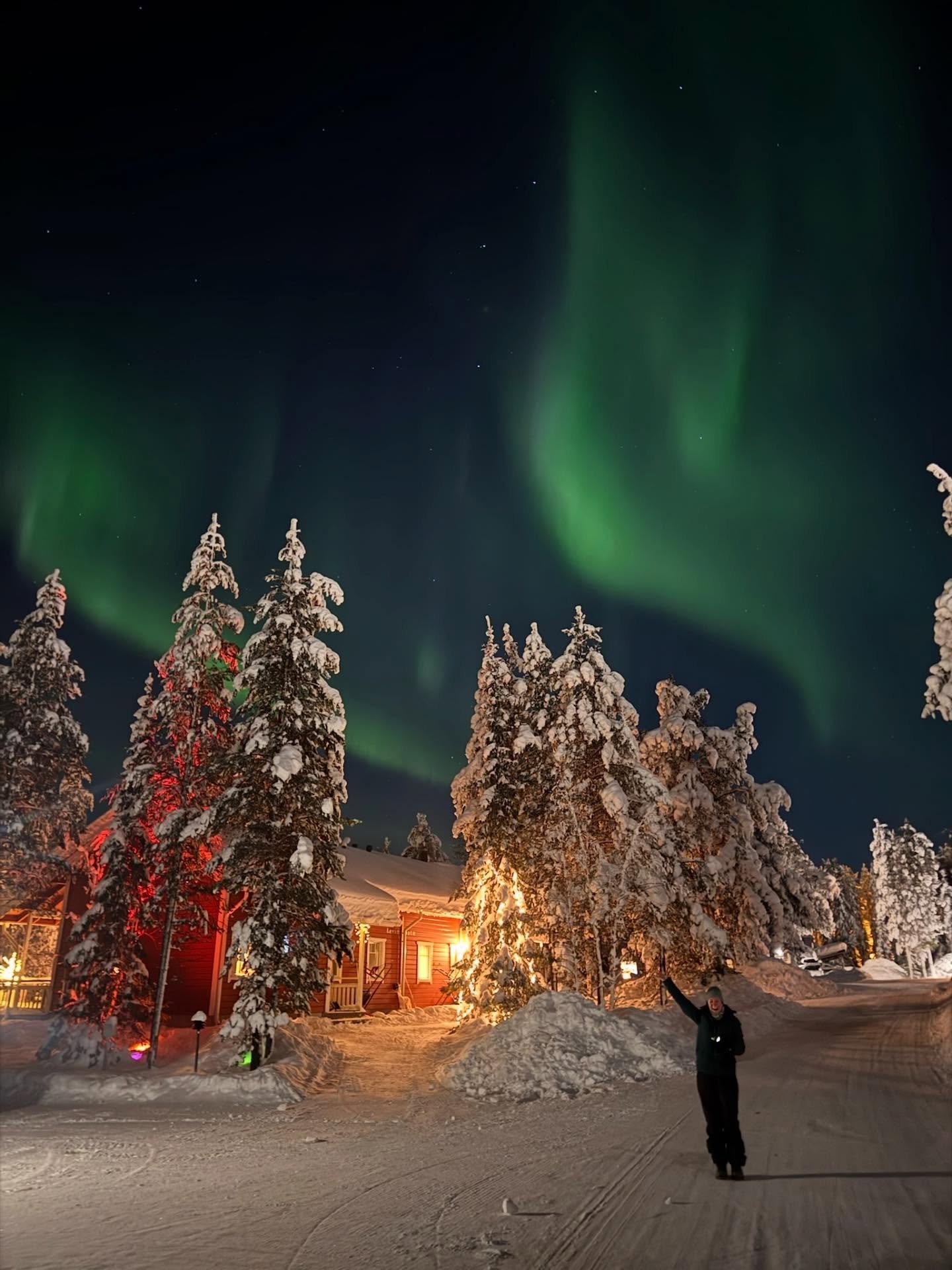 Nature DELIVERED for my ambitious birthday wish of experiencing the northern lights 🥹 

Stepping out of our gorgeous little cabin with zero expectation, looking up and finding the aurora right there.. the most magical act of the skies that I&rsquo;l