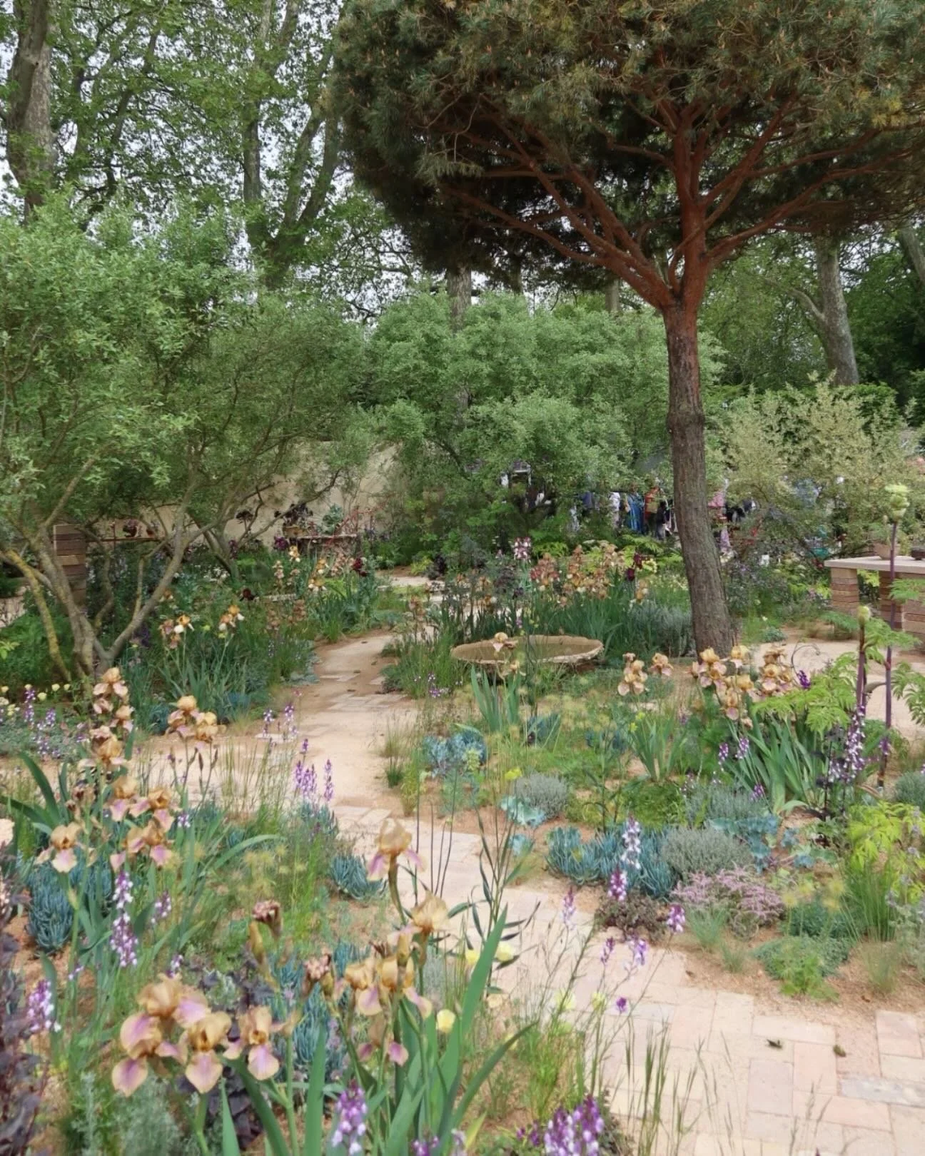 Visuals that still live rent free in my mind years on, from my one and only visit so far, three years ago now, to the incredible Chelsea flower show.

The colour palette, the earthy texture, the bearded iris&rsquo;s, the way it felt like you were loo
