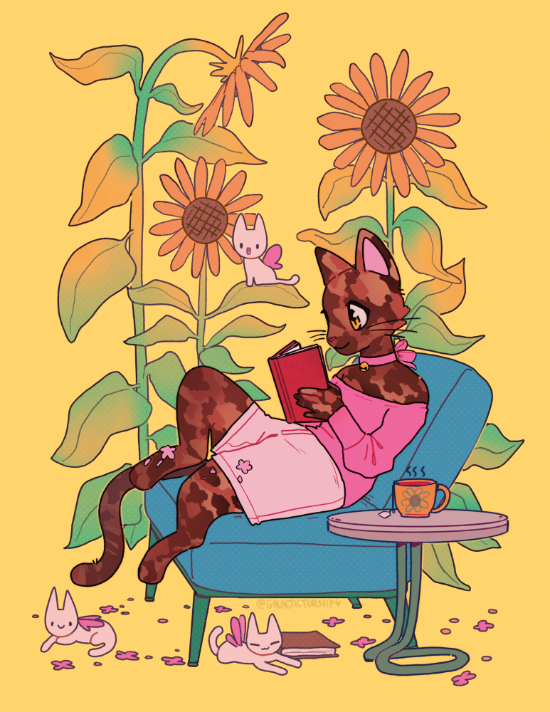 _book_Cat.png