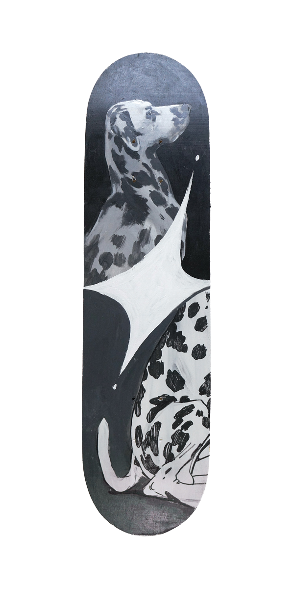 dalmation_forweb.png