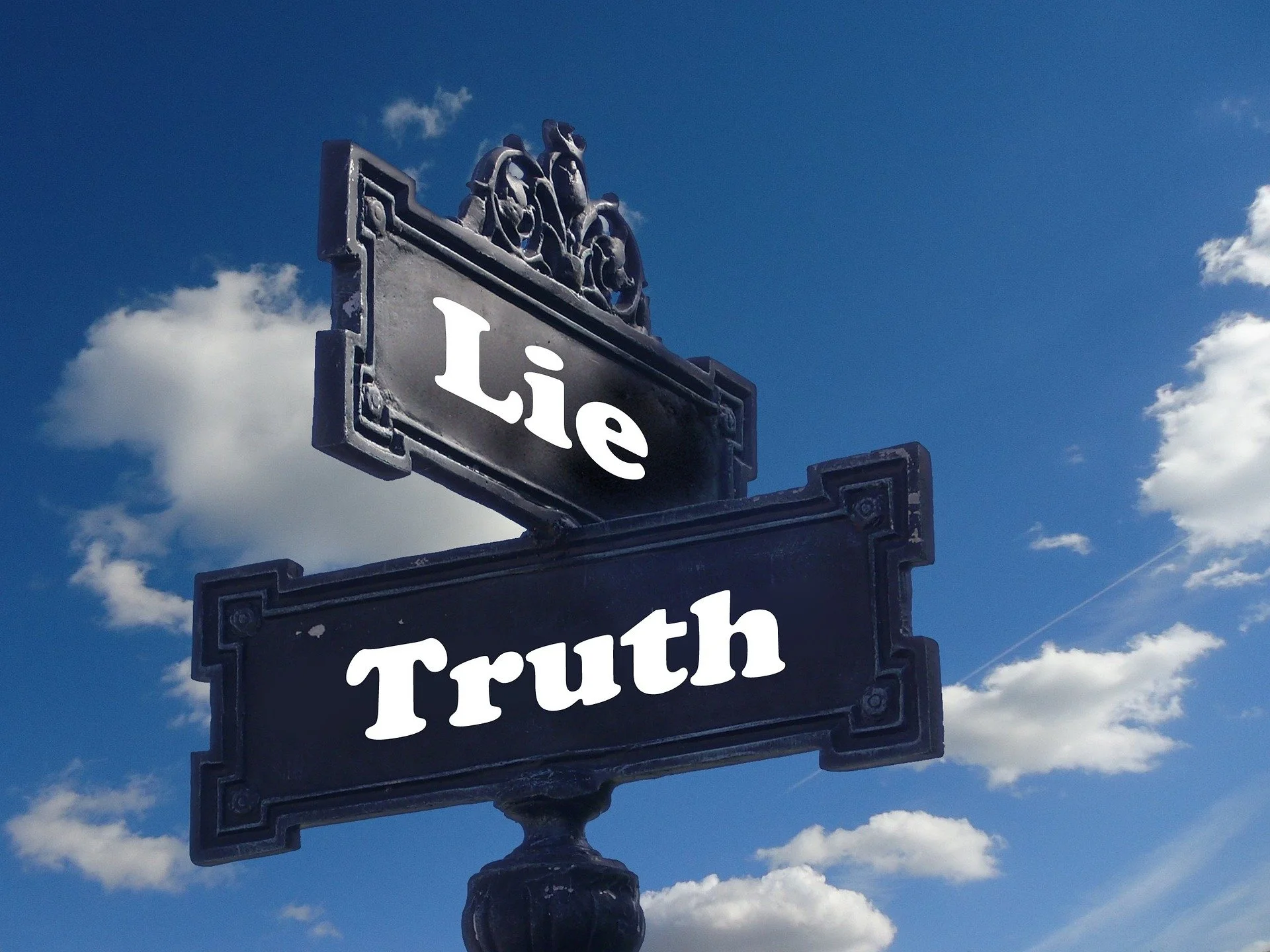 The Lies We Tell