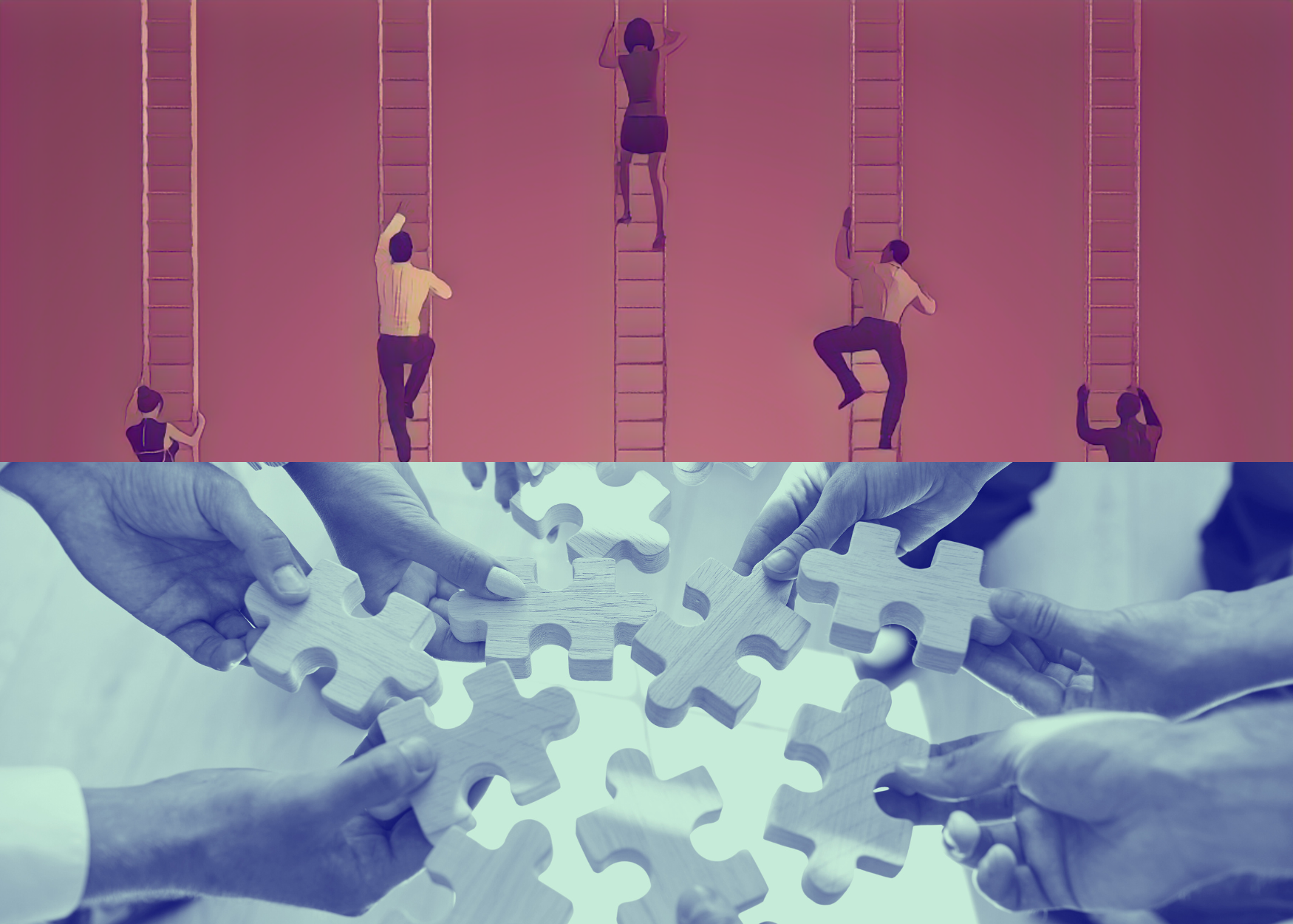 The Necessary Balance of Competition and Collaboration