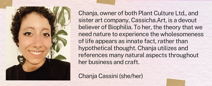 Chanja Cassini.png
