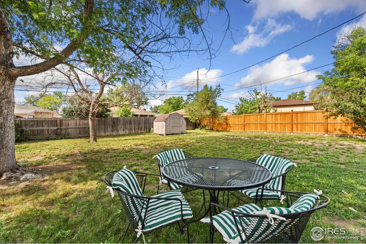 noahs backyard.png