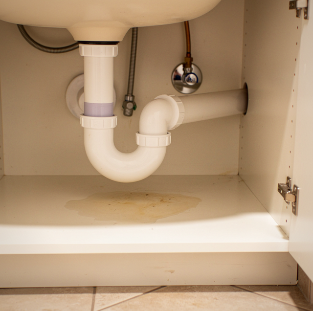 Whole House Smells Like Sewer Gas? Find the Missing Seal