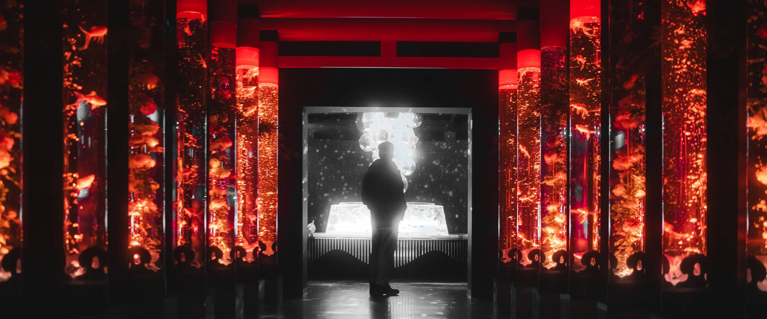 Ginza Aquaruim 1.jpg