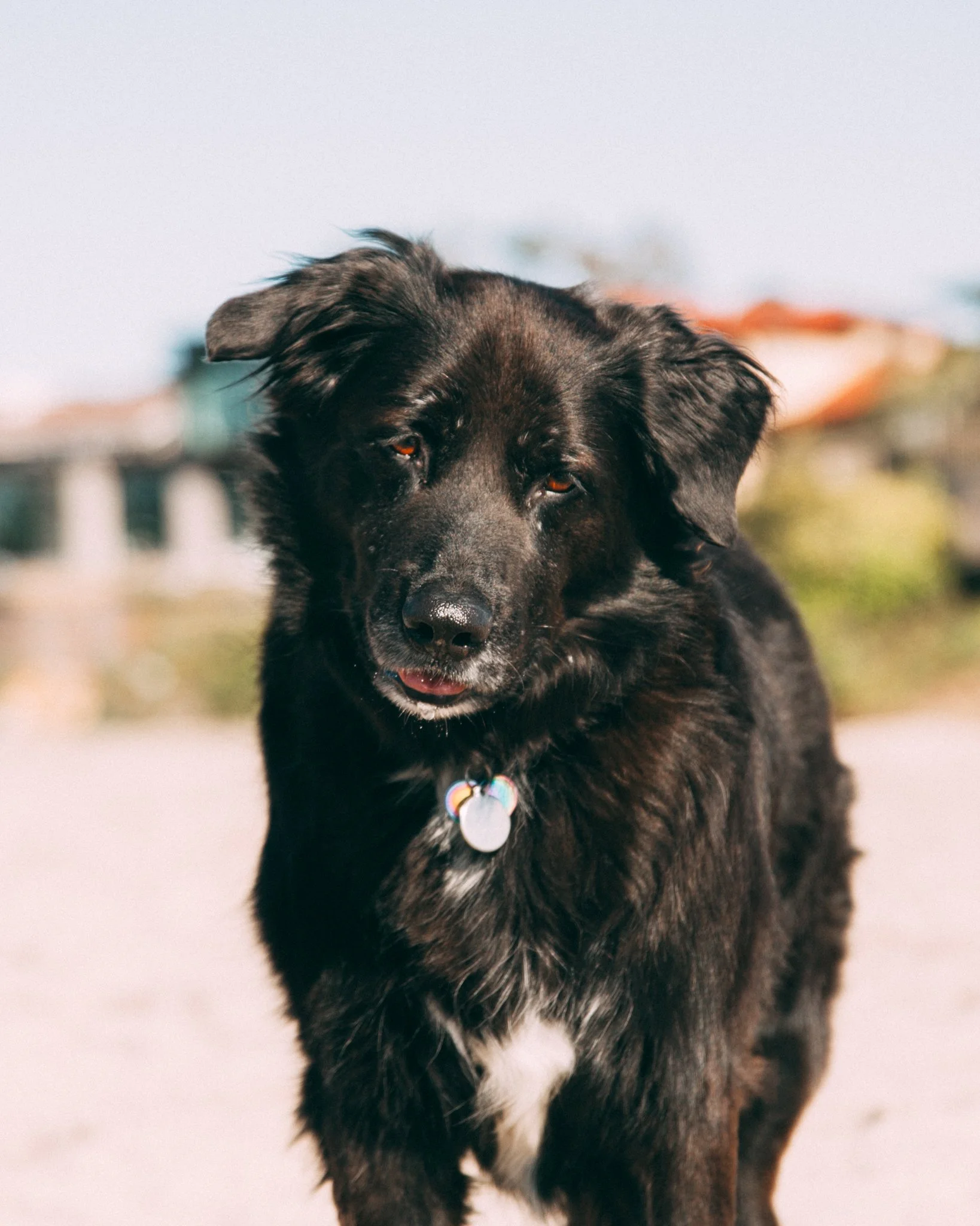 Creative Portrait Portfolio-15.jpg