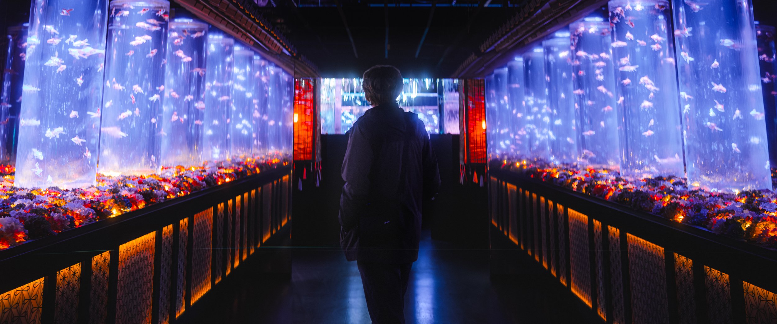 Ginza Aquaruim-2.jpg