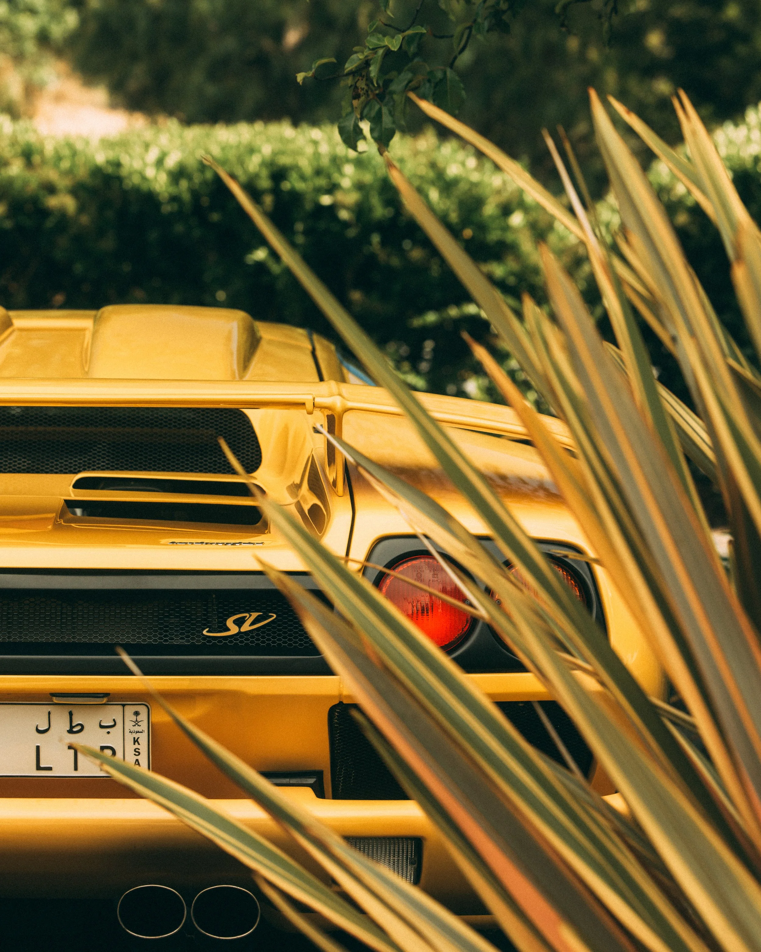 25-08-15 Car Week Diablo SV-1.jpg