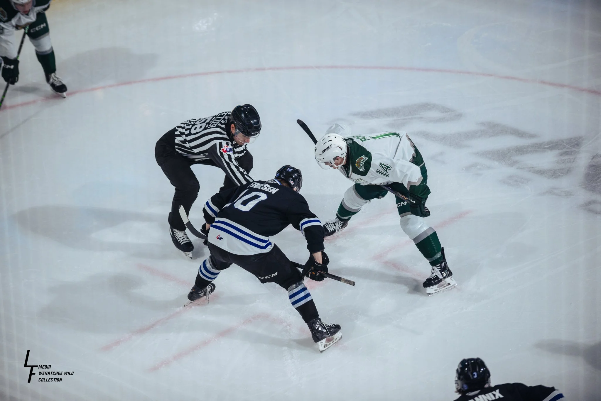 Wenatchee Wild (WHL)