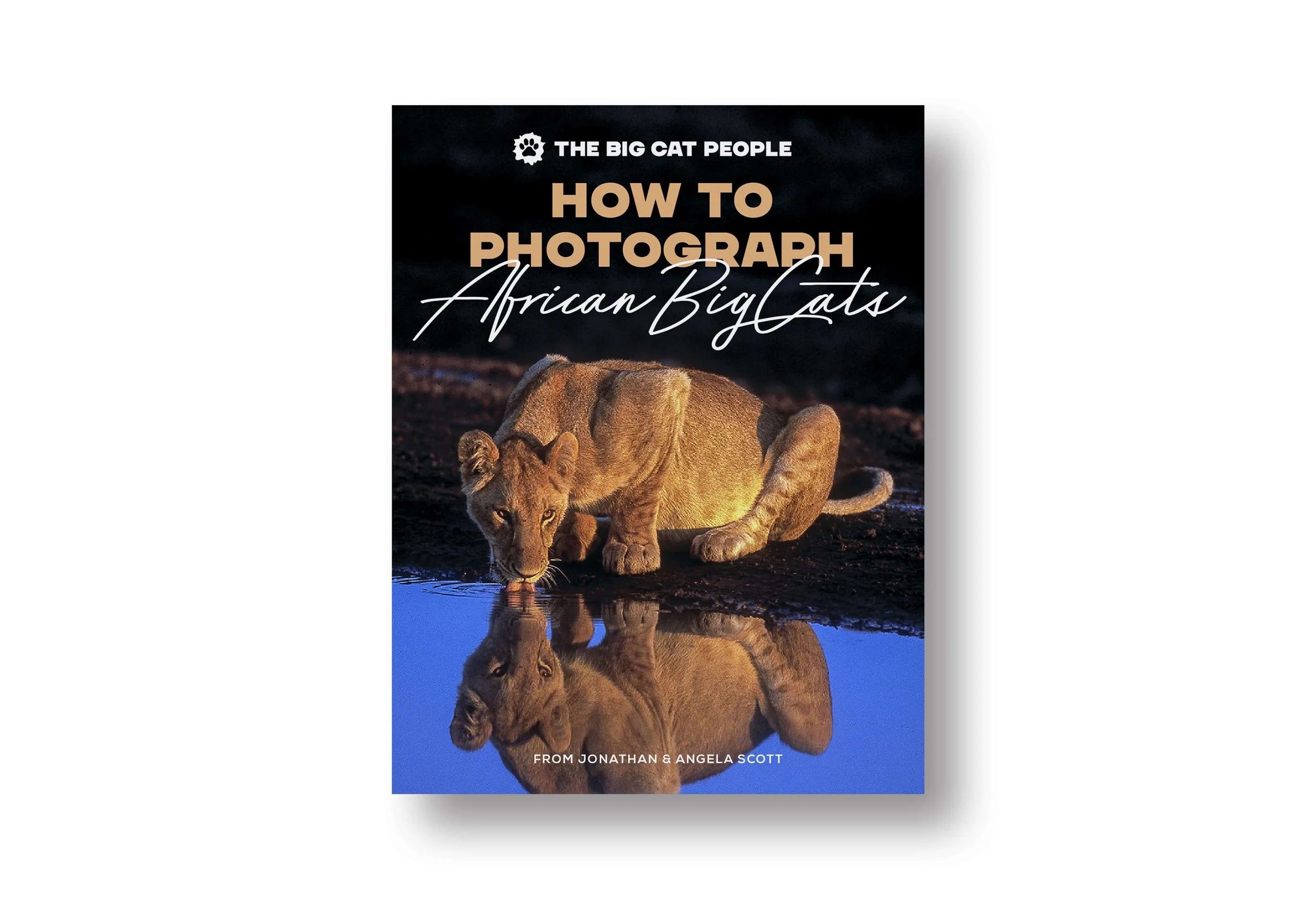 BCP_ebook_How to Photograph African Big Cats_02.2.jpg