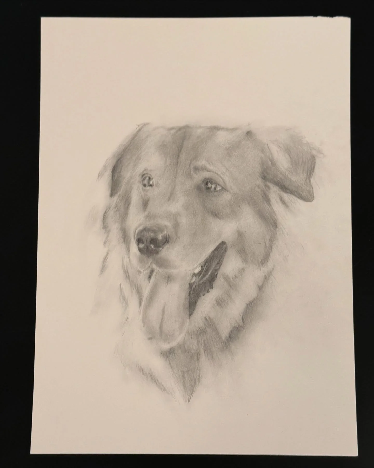 MOE

#puppy #puppylove #artwork #drawing #animalartistry #artist