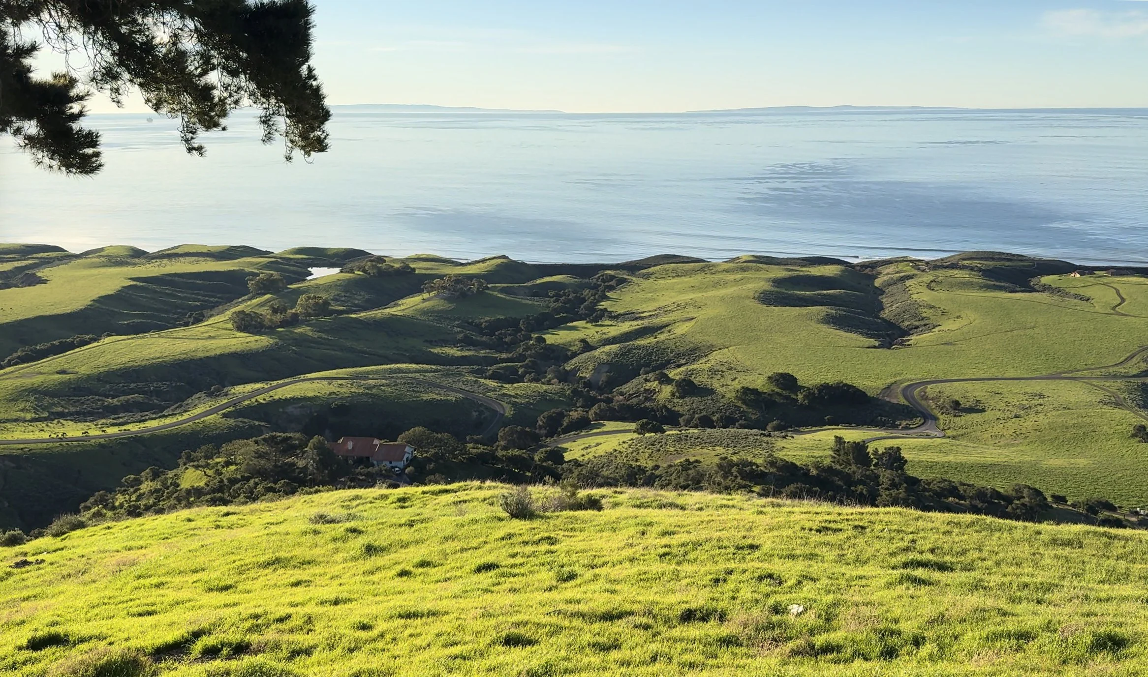 Winter’s Embrace: Hollister Ranch Blooms Green Again