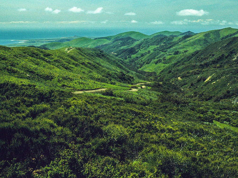 CojoCynFromTop.jpg