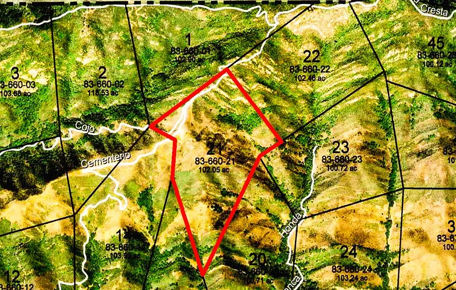 21Outlined Cropped.jpg