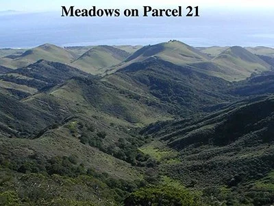 Parcel 21