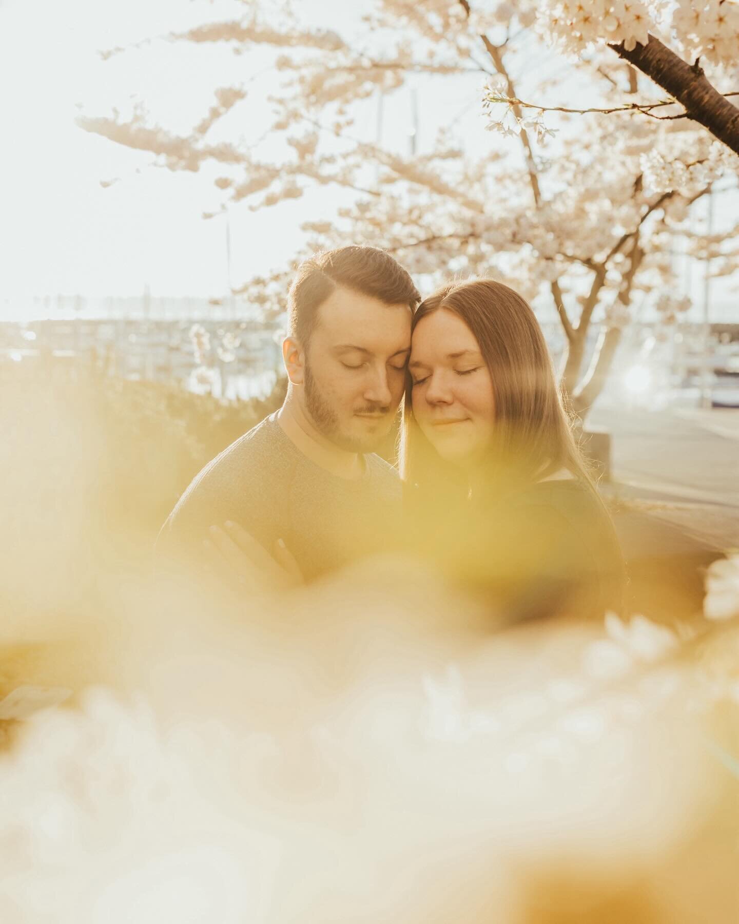 Sakura/cherry blossoms in full effect. Kate and Alex were greeted with some amazing spring weather as they went to their old stomping grounds for their engagement session. Storytelling through photos is so important, and I truly believe that&rsquo;s 