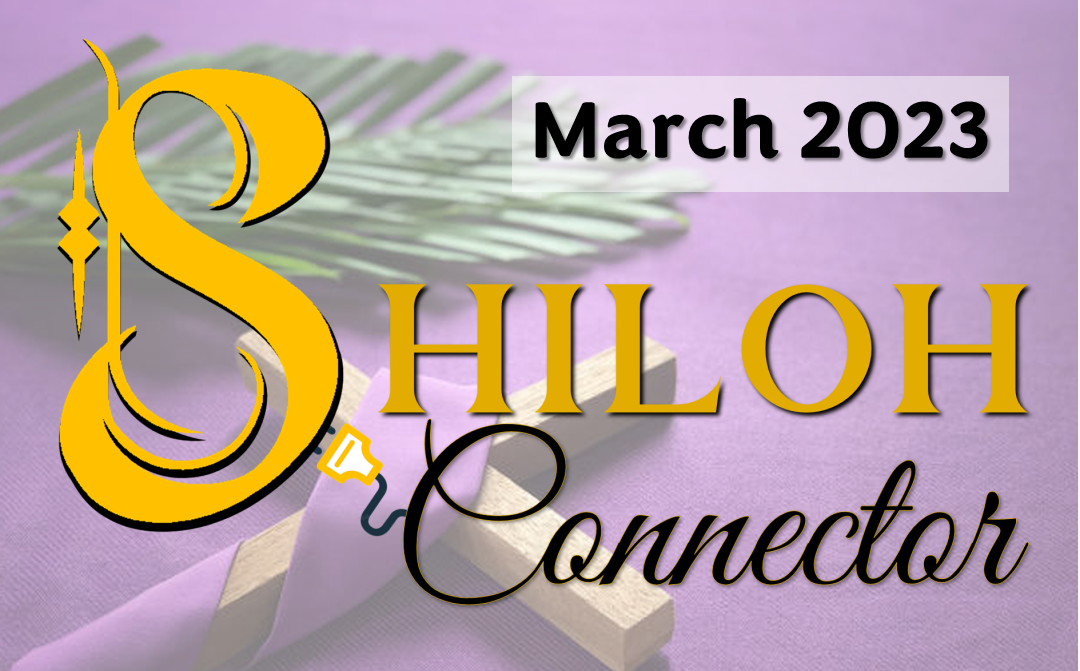 Shiloh Connector 