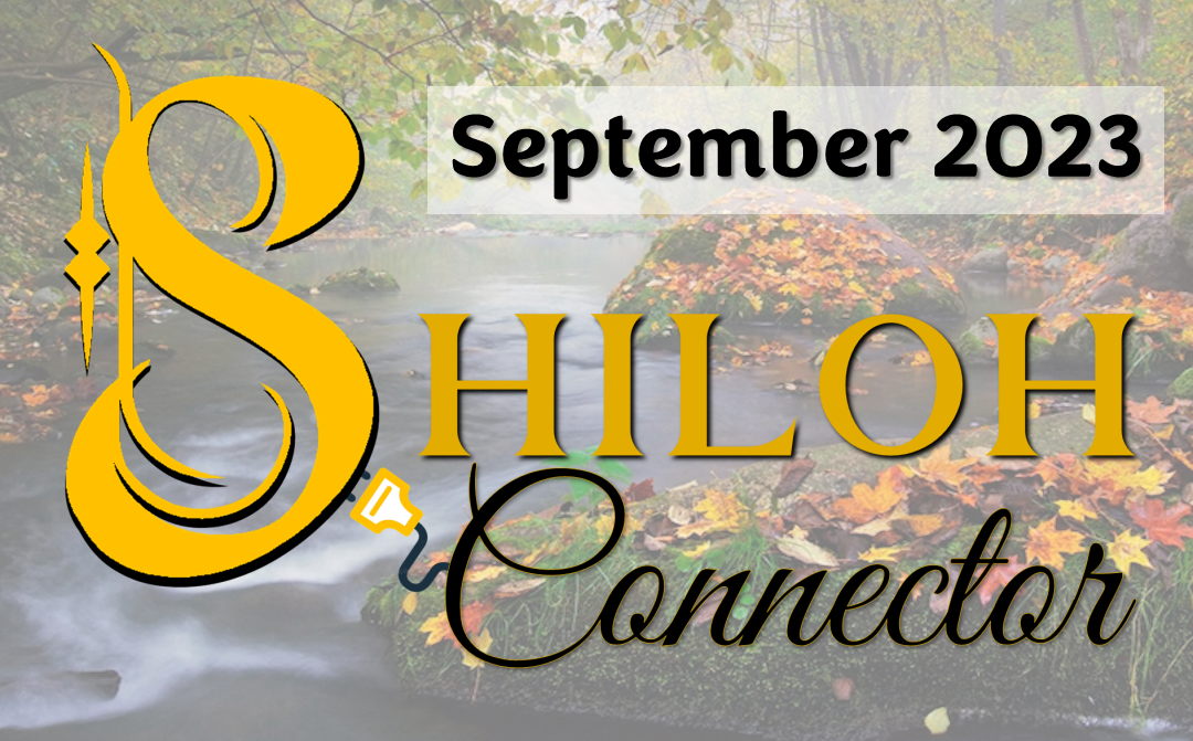 Shiloh Connector