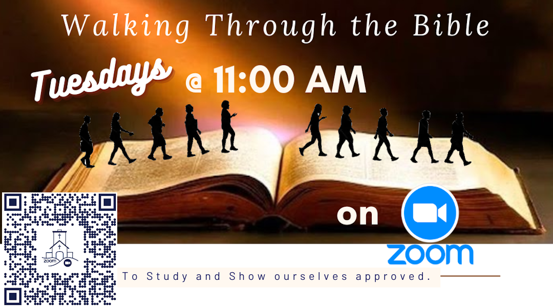 Walking Through the Bible