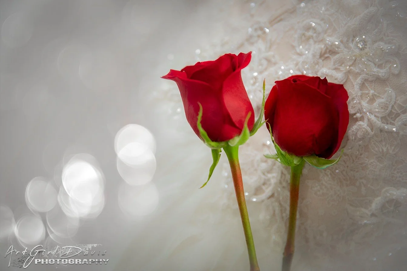 Two red roses, one slightly more open than the other, resting on a lace surface with bokeh light effects.