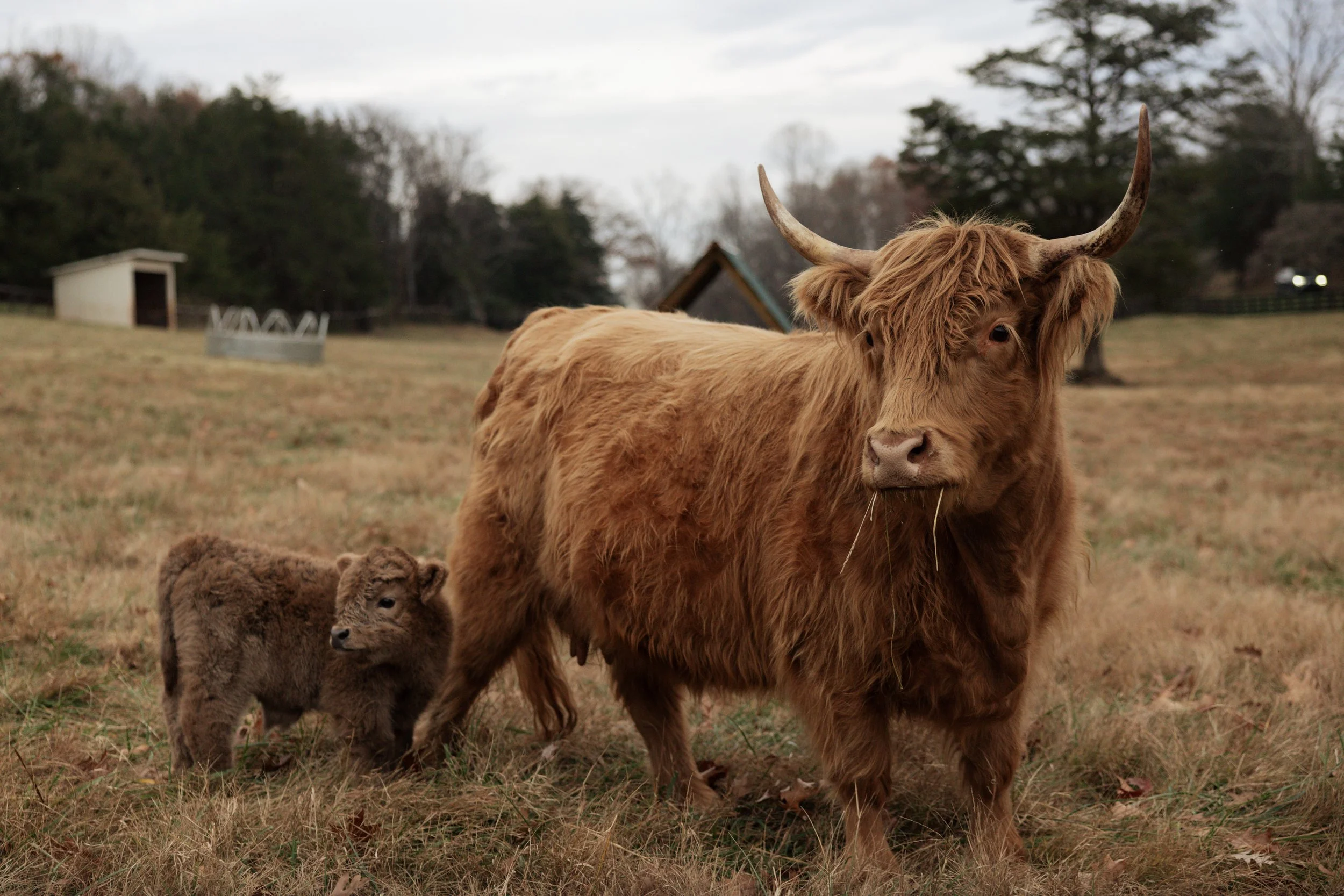 ONTHEFARM-40.jpg