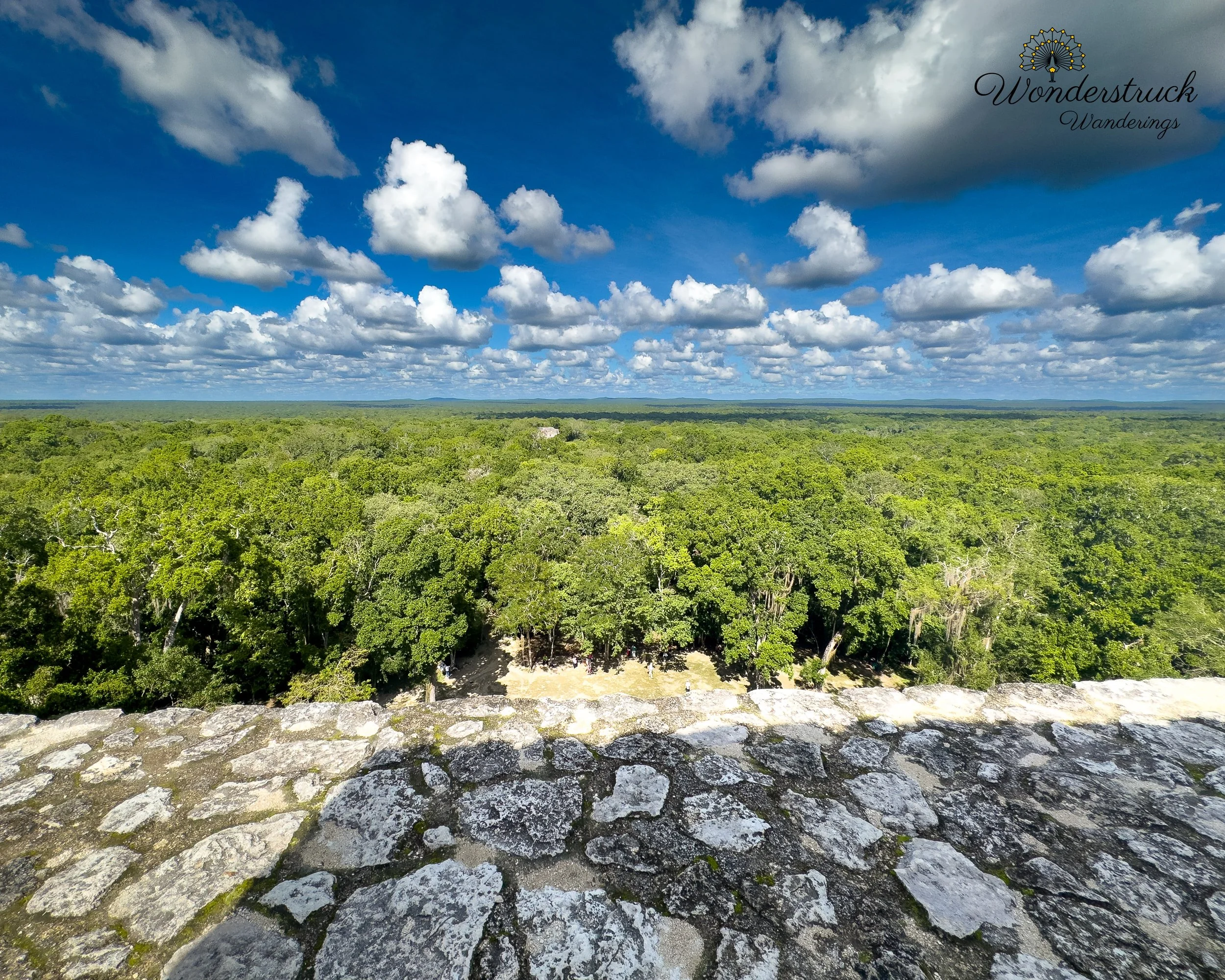 Calakmul_Mexico-2.jpg