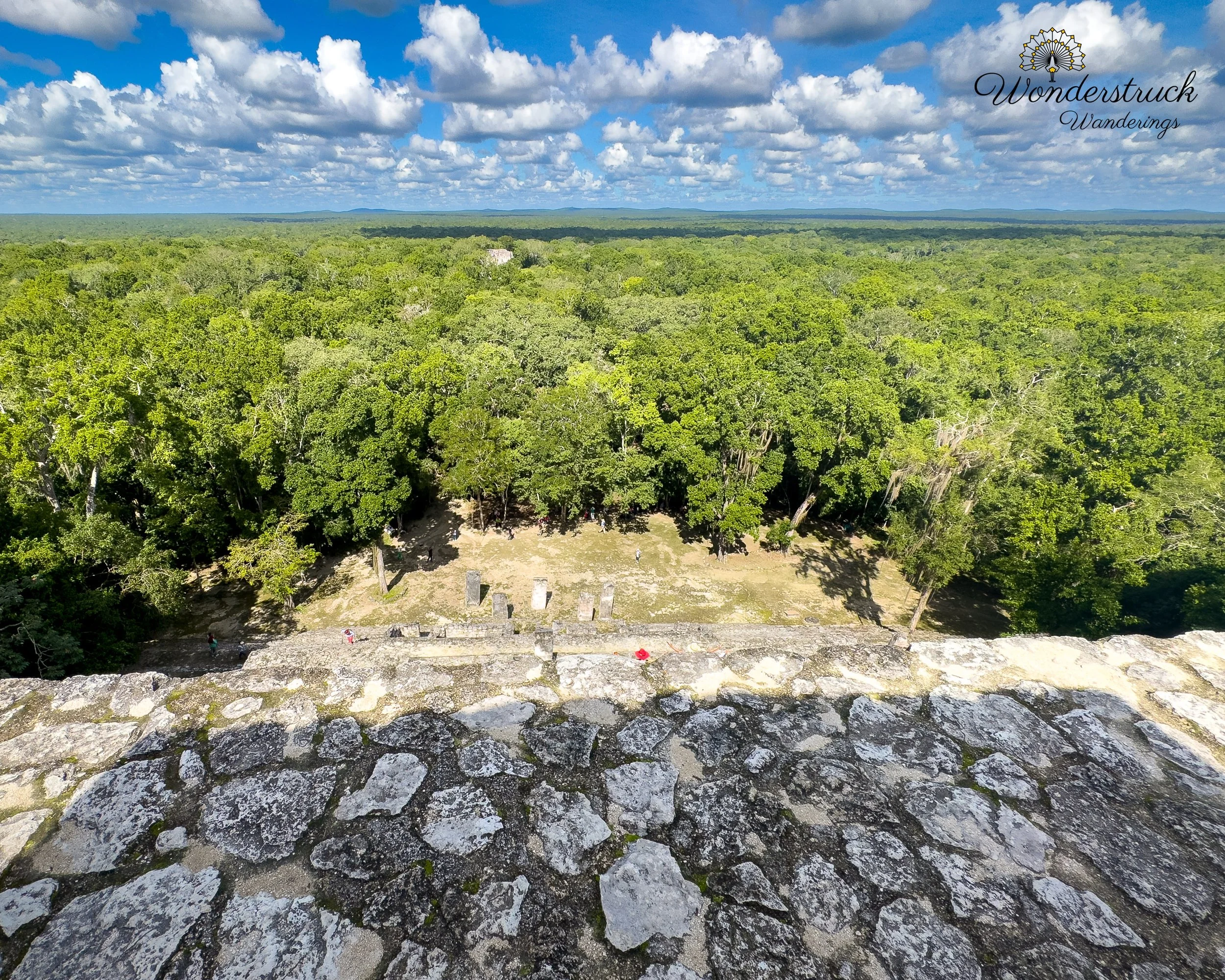 Calakmul_Mexico-4.jpg
