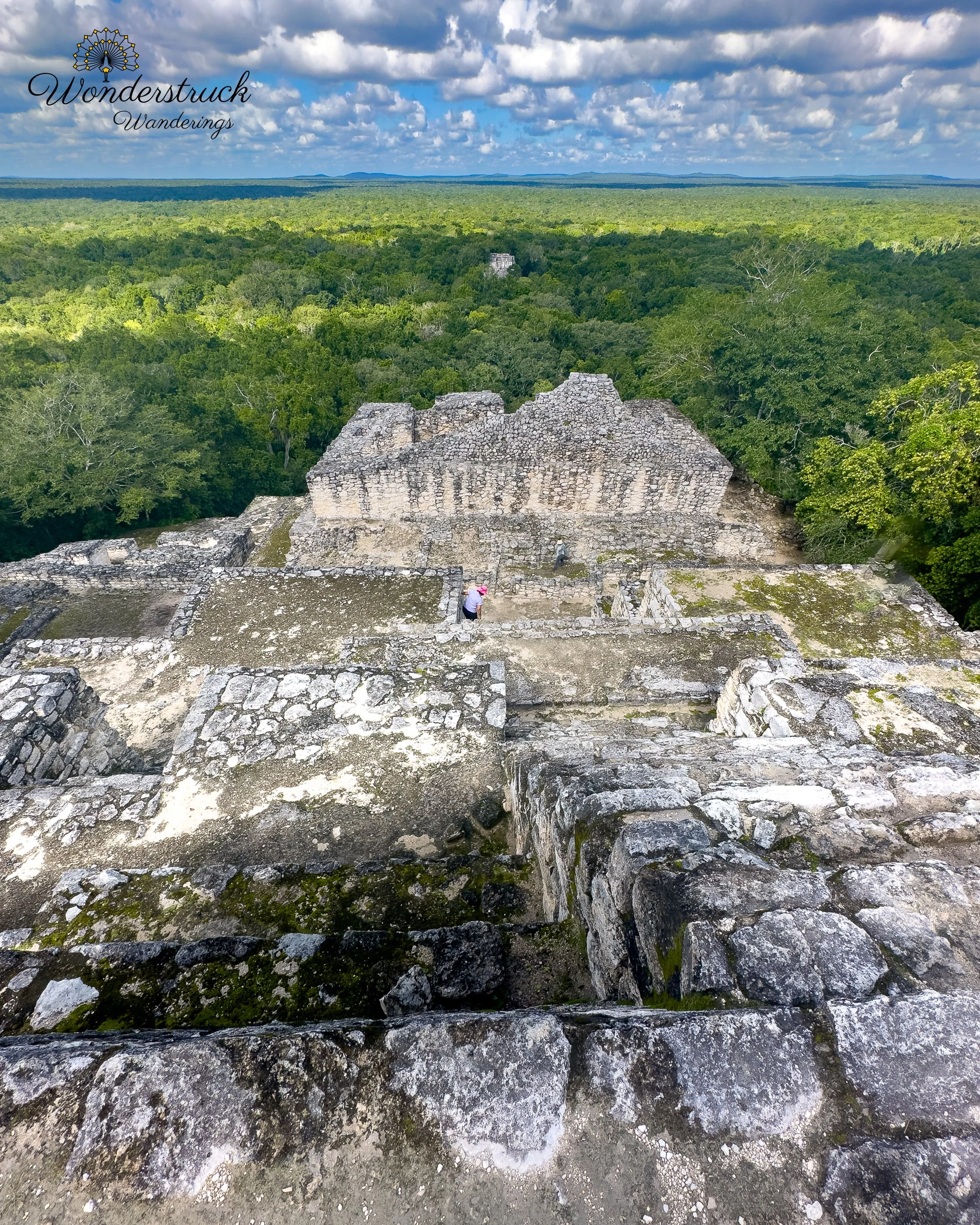 Calakmul_Mexico-17.jpg