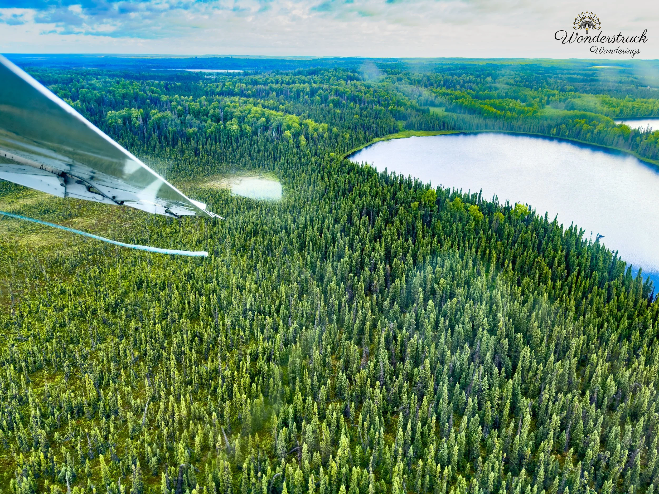Soldotna_Alaska-10.jpg