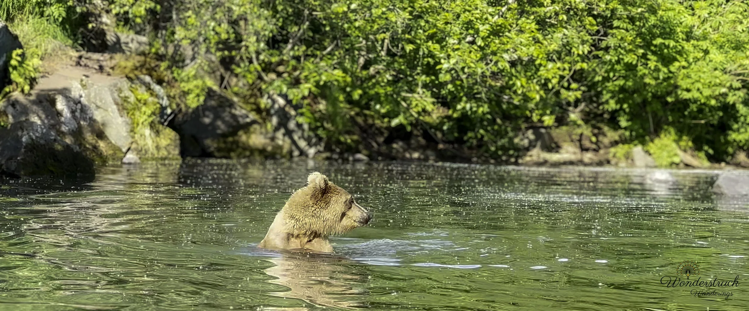 Soldotna_Alaska-92.jpg