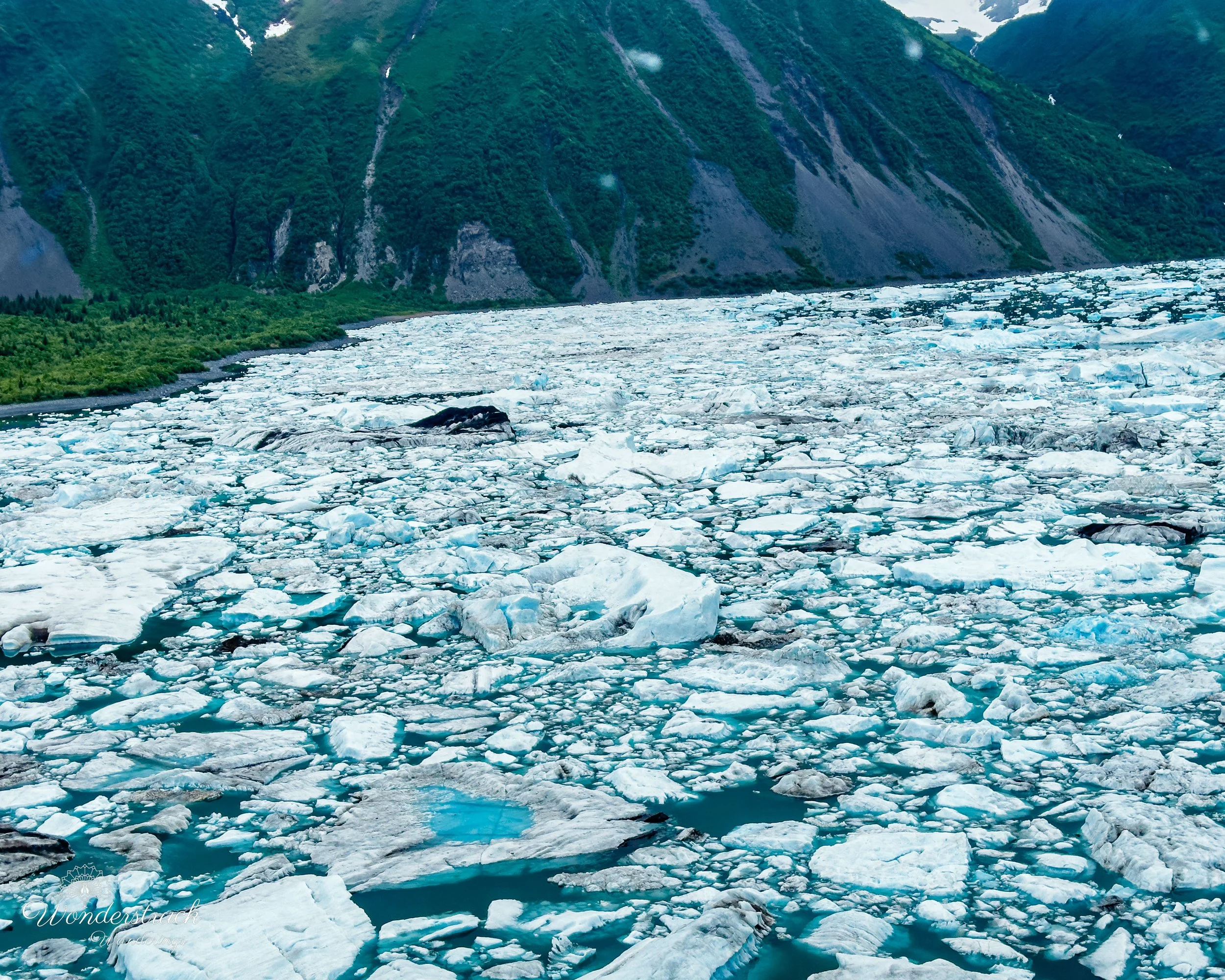 Seward_Alaska-35.jpg