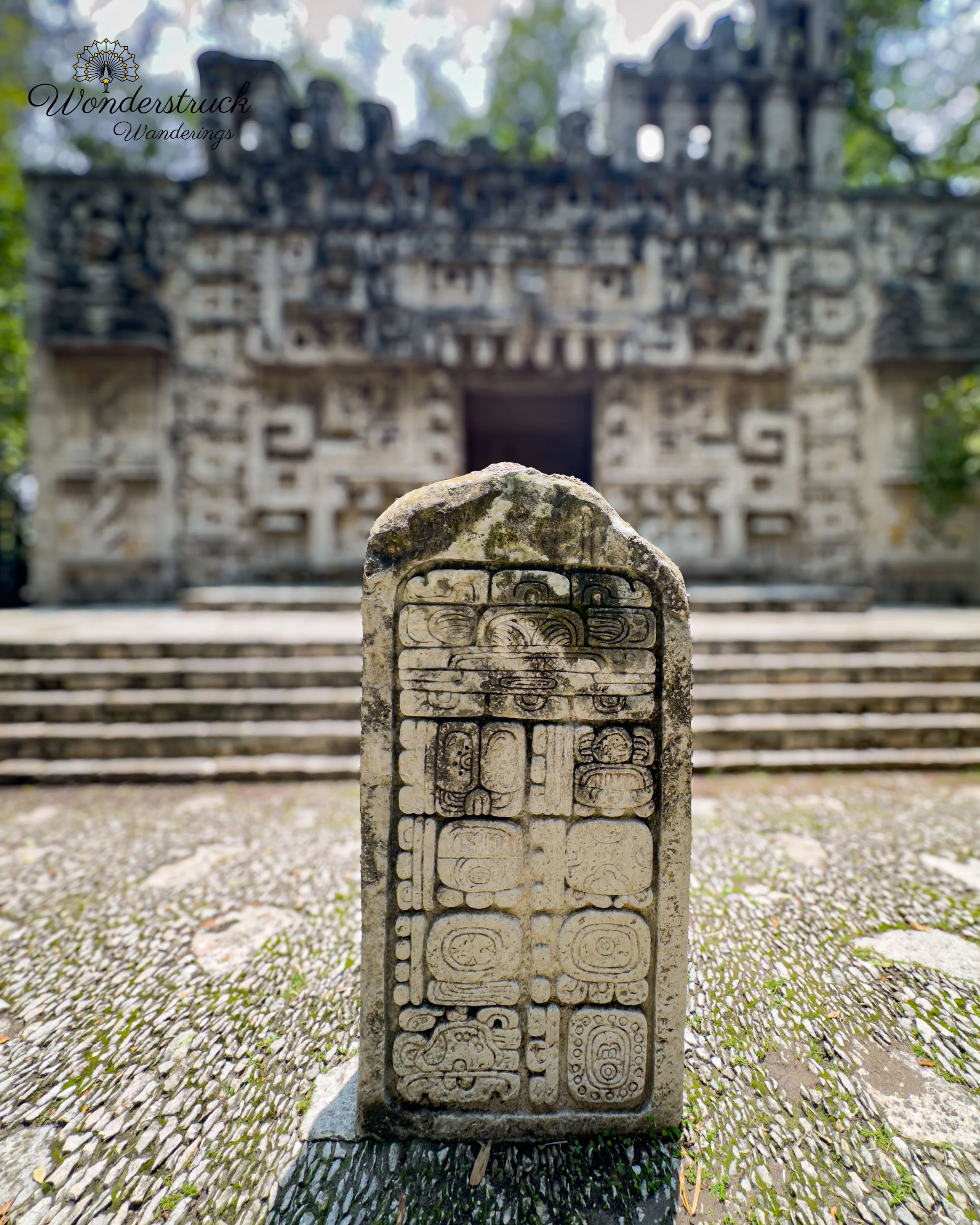 CDMX-139.jpg
