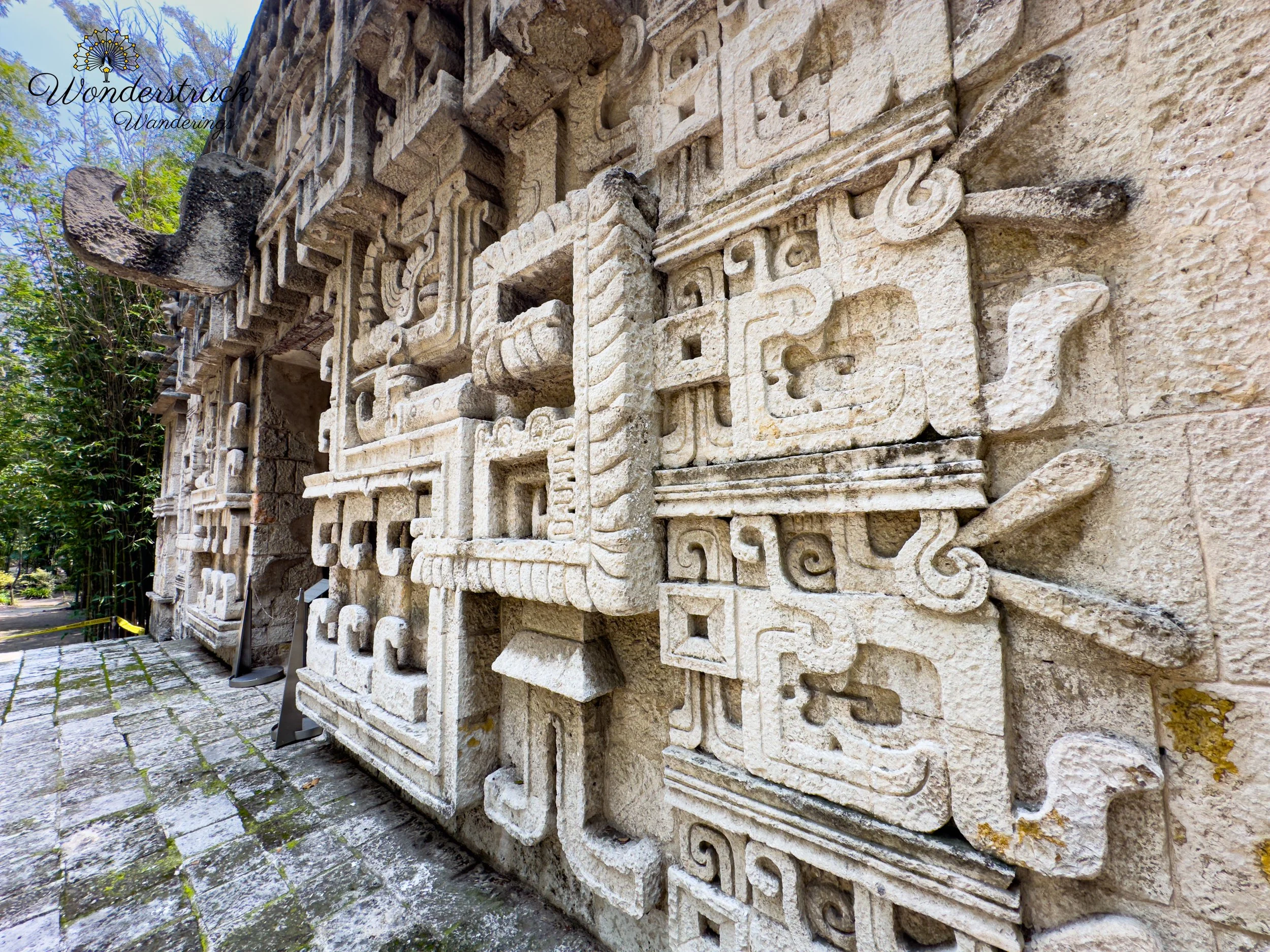 CDMX-144.jpg