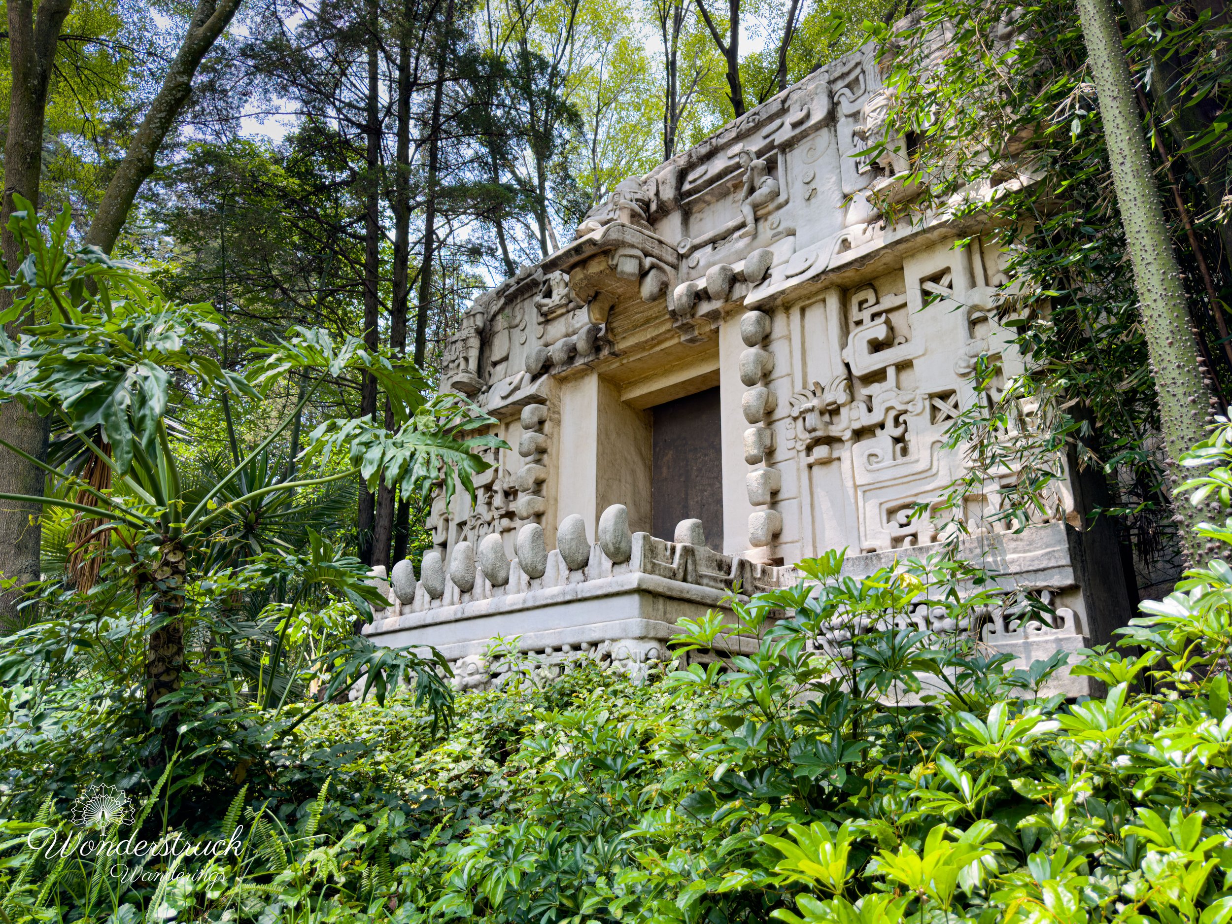 CDMX-145.jpg