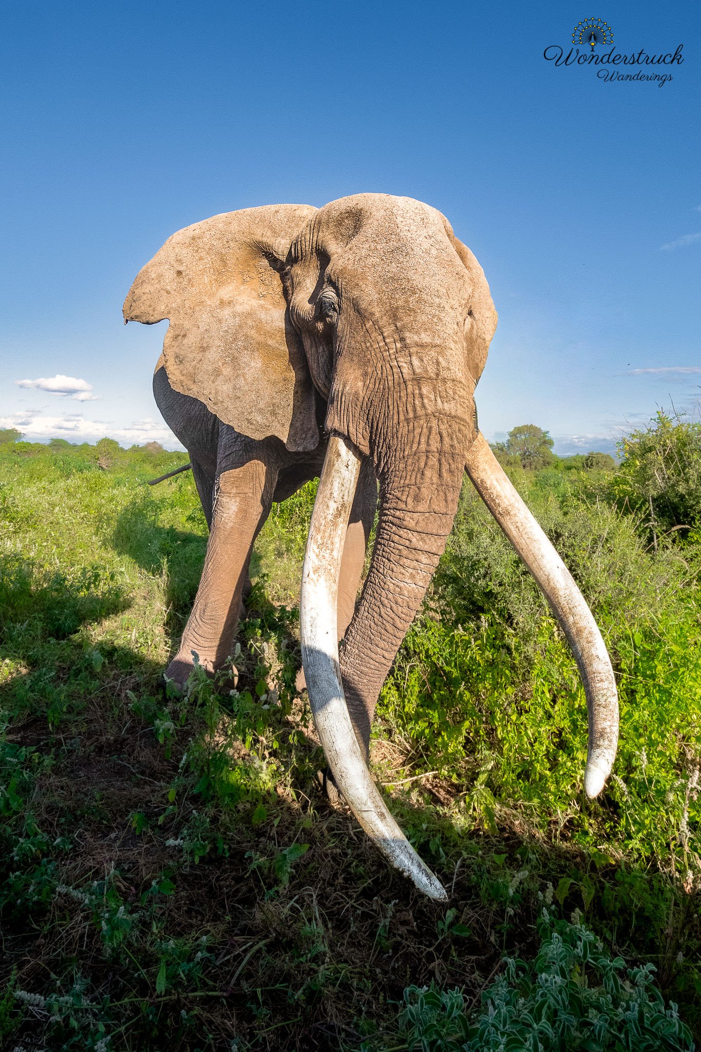 Amboseli_NP-23.jpg